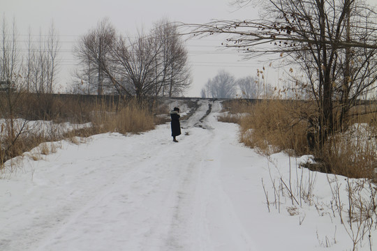 积雪的道路