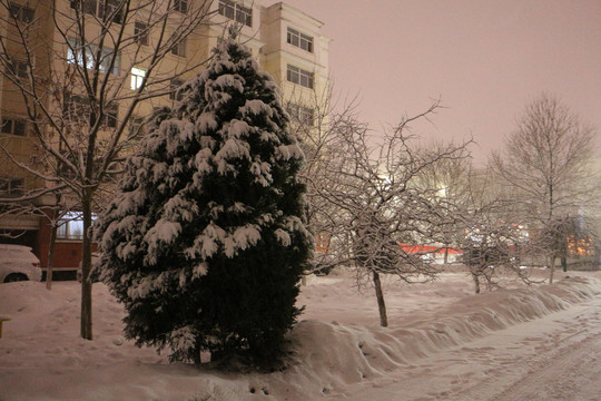 灯光雪景