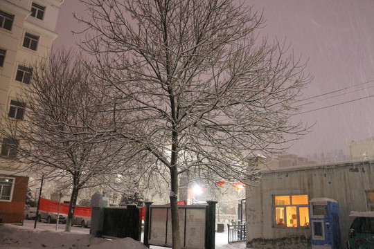 夜晚雪景