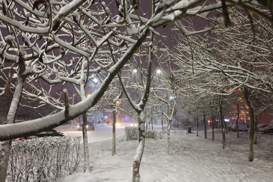 灯光雪路