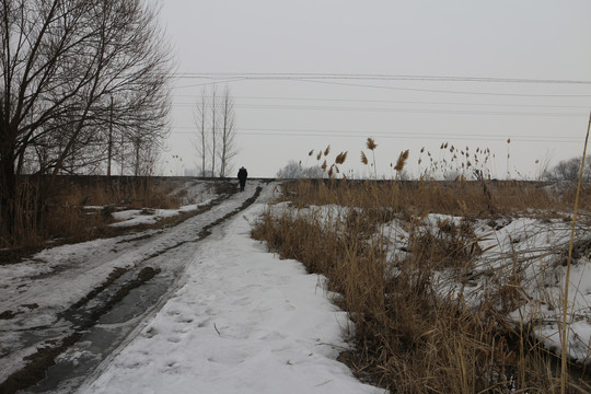 下雪的小路