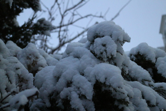 雪挂造型