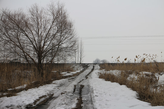 雪路