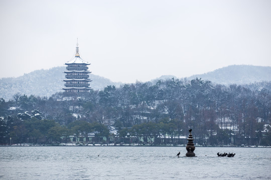 三潭印月雪霁