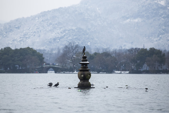 三潭印月雪霁