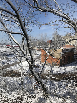 雪景