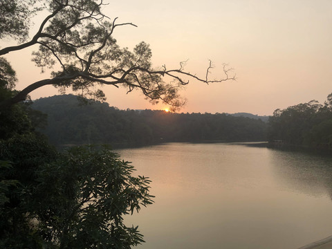 新会天鹅湖日落风景