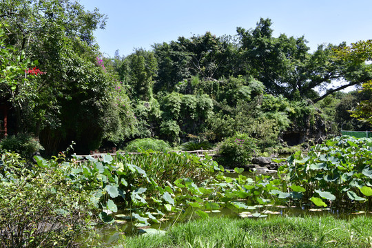 百花潭公园