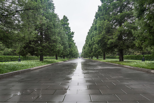 北京天坛公园林荫大道