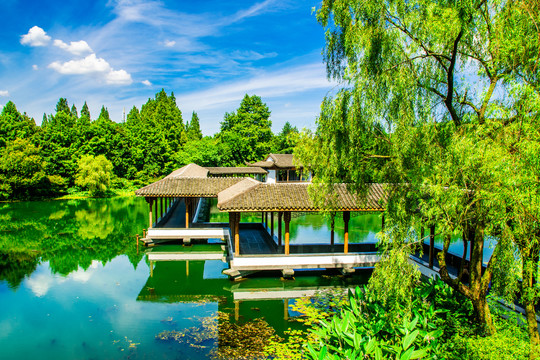 杭州西湖浴鹄湾景区