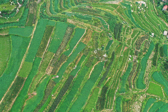 山东枣庄山亭区山乡梯田