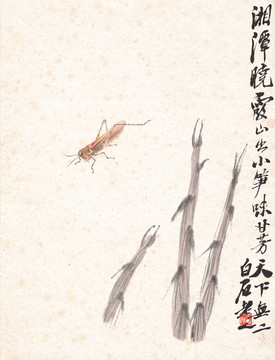 齊白石竹筍螞蚱