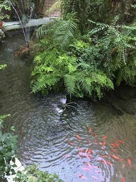 假山水池喷泉