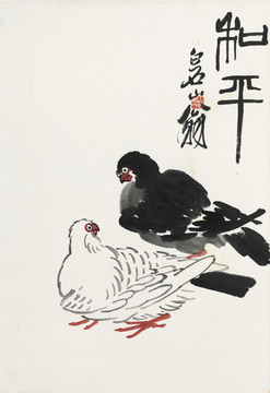 齊白石和平鴿
