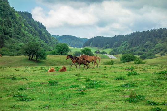 仙女山