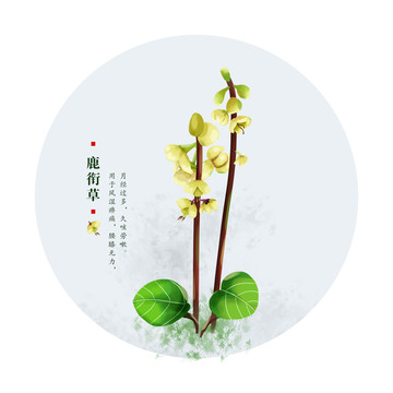 鹿銜草