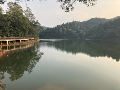 新会天鹅湖风光