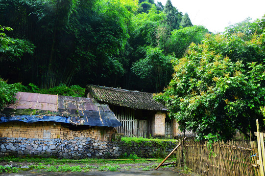 山里人家