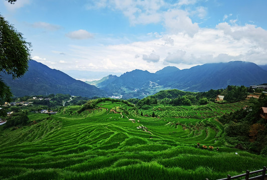 丽水云和梯田