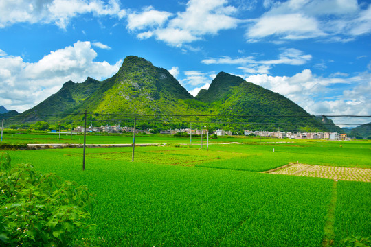 州钟山田园风光