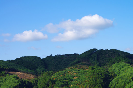 山林风光