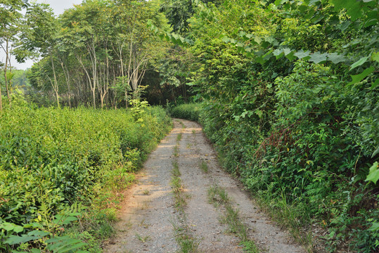 乡村公路