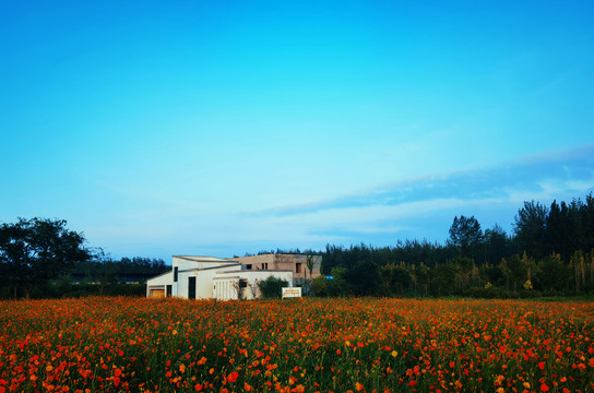 花海小屋