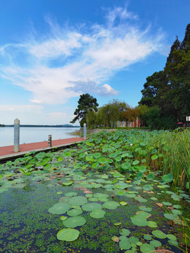 东湖楚城湖中栈道