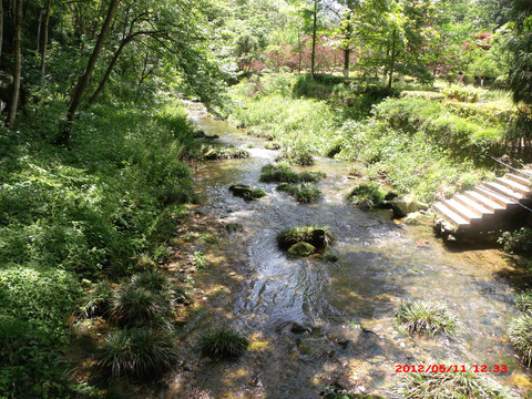 金鞭溪溪水2