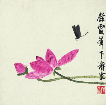 齊白石蜻蜓荷花圖