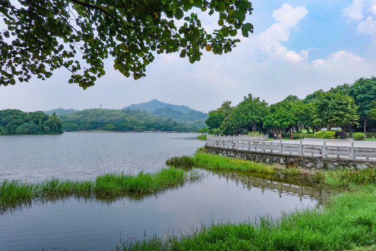 番禺大夫山森林公园