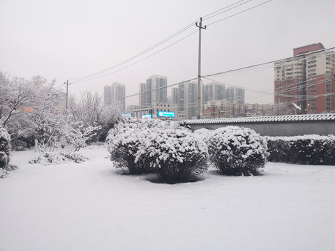 雪景