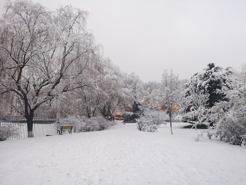 雪景