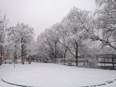 雪景