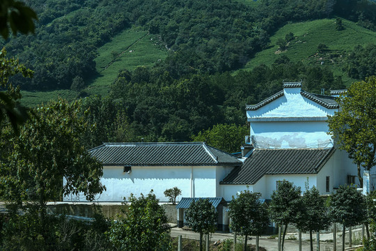 大山茶田民居摄影图