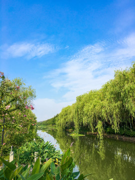 蓝天白云绿树鲜花