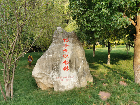 杨善洲纪念林石刻