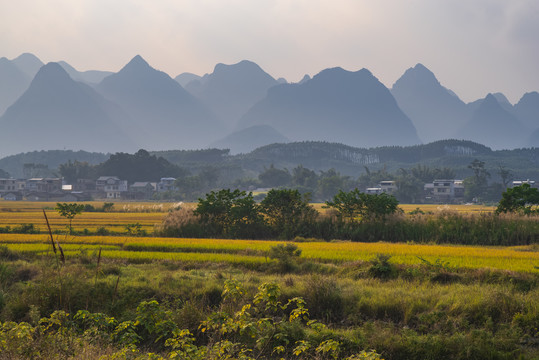 乡村风景