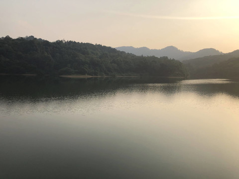 新会天鹅湖风景