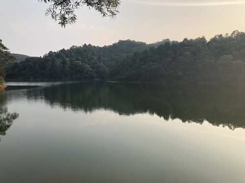 新会天鹅湖景区一角