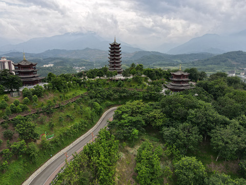 河口口岸森林公园