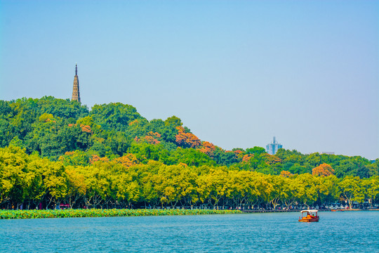 西湖秋景