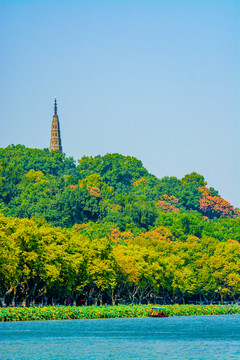 西湖秋景