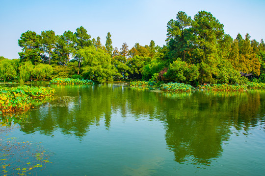 西湖秋景