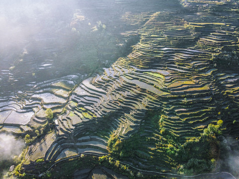 红河梯田