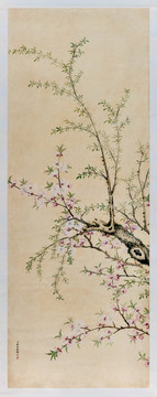 關槐桃花楊柳圖