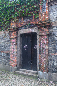 老上海爬墙虎