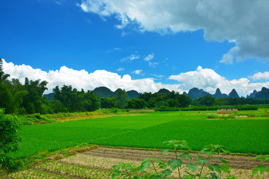 贺州钟山田园风光