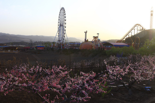 桃林新村