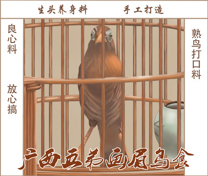 鳥
